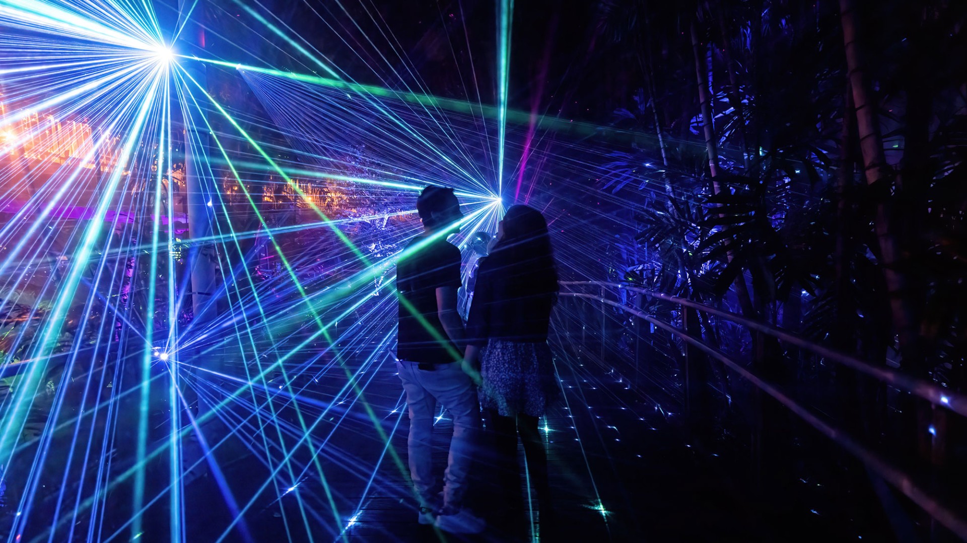 The Enchanted Garden