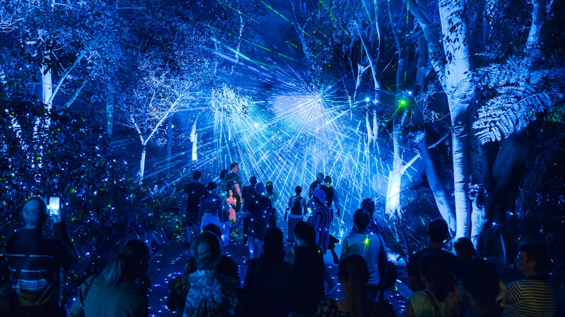 The Enchanted Garden