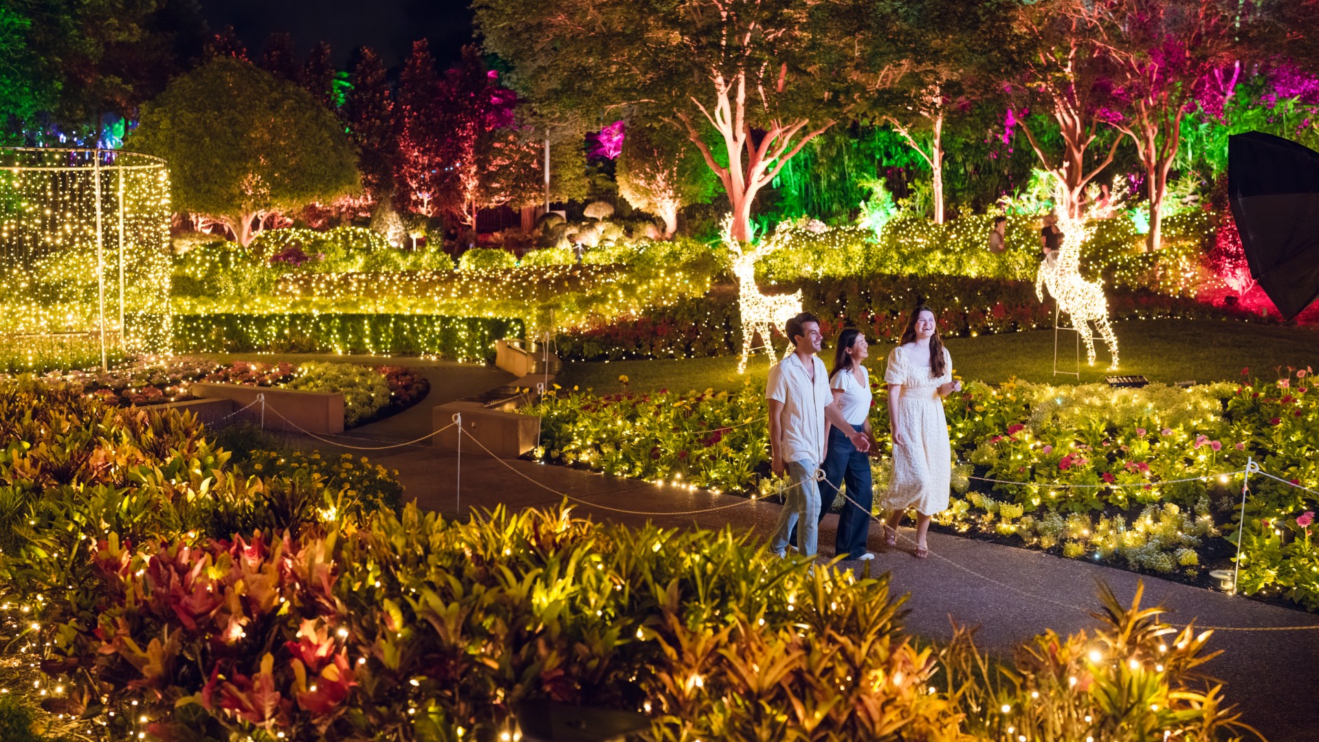 The Enchanted Garden evening